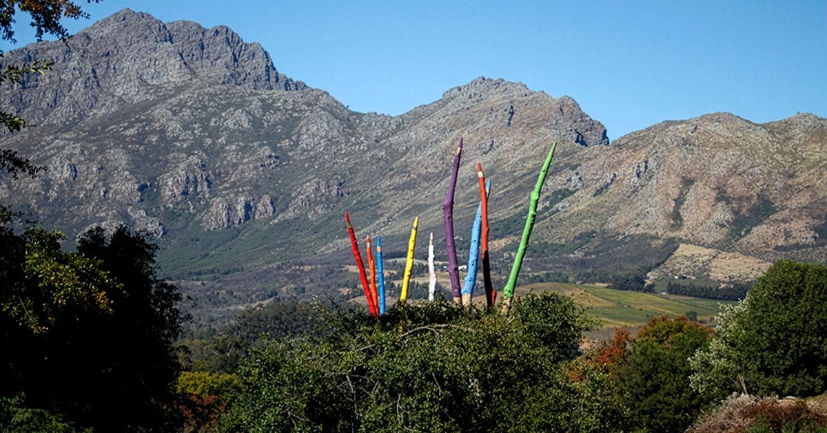 24 sculpted trees become giant colored pencils in south african land art installation
