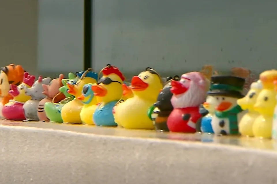 Wendy's duck display.