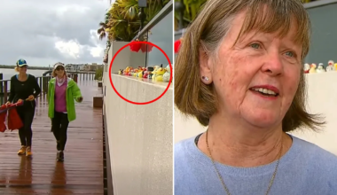 Resident's defiant response after neighbour's complaint about cheerful feature outside Aussie home