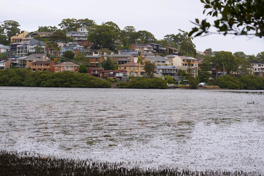 Oyster Bay mud flat 2026-05-13 10:05:00