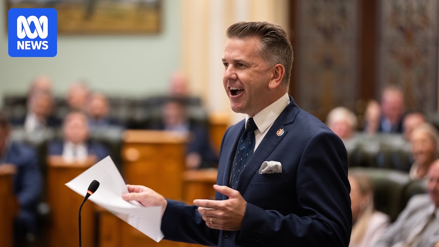 Queensland Deputy Premier Jarrod Bleijie uses parliamentary privilege to attack Labor MPs