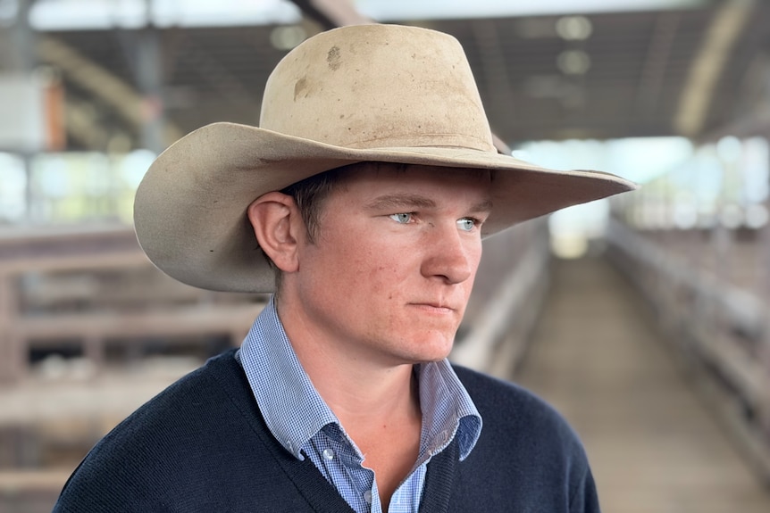 A young man in a big hat looks seriously amongst the pens at the Dalby saleyard.