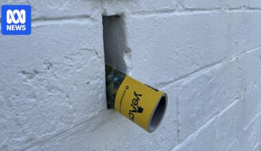 Phone books are being delivered around Australia but does anyone still use them?