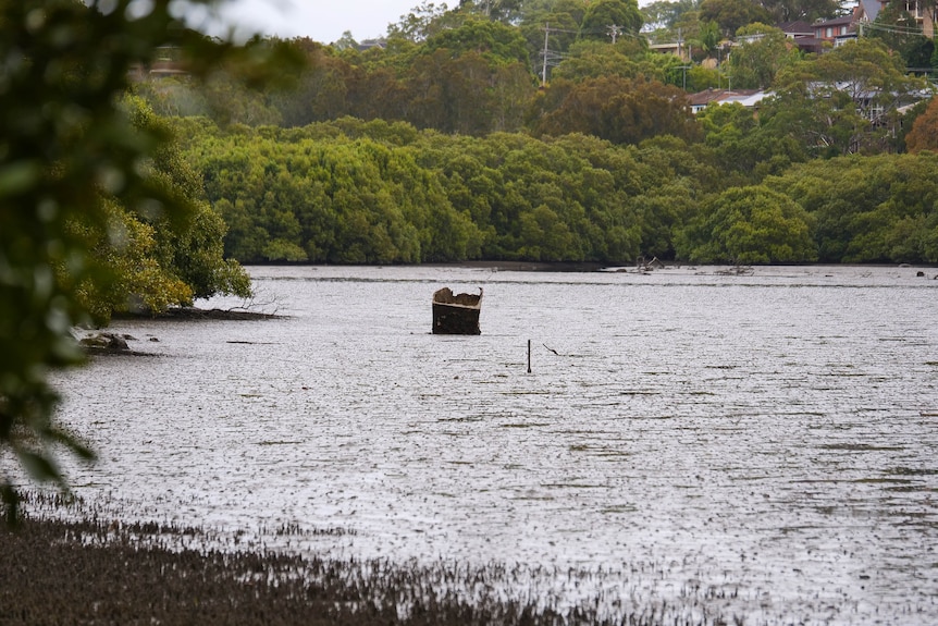 Oyster Bay mud flat 2026-05-13 10:05:00