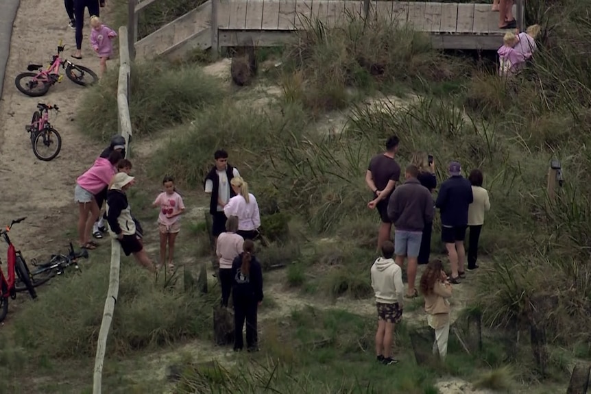 A crowd of people gather in bushland
