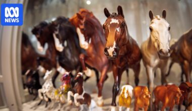 The world of Australia's model horse collectors