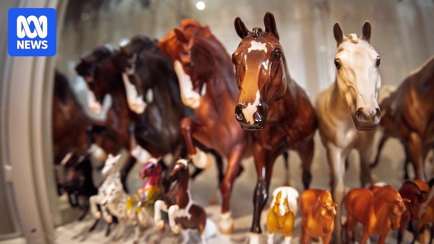 The world of Australia's model horse collectors
