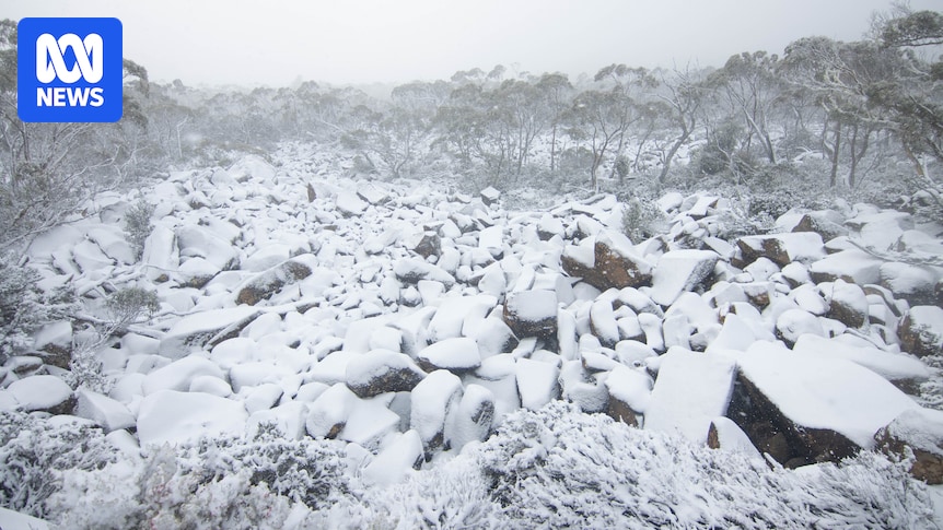 Low level snow forecast for three states, as polar blast hits south-eastern Australia