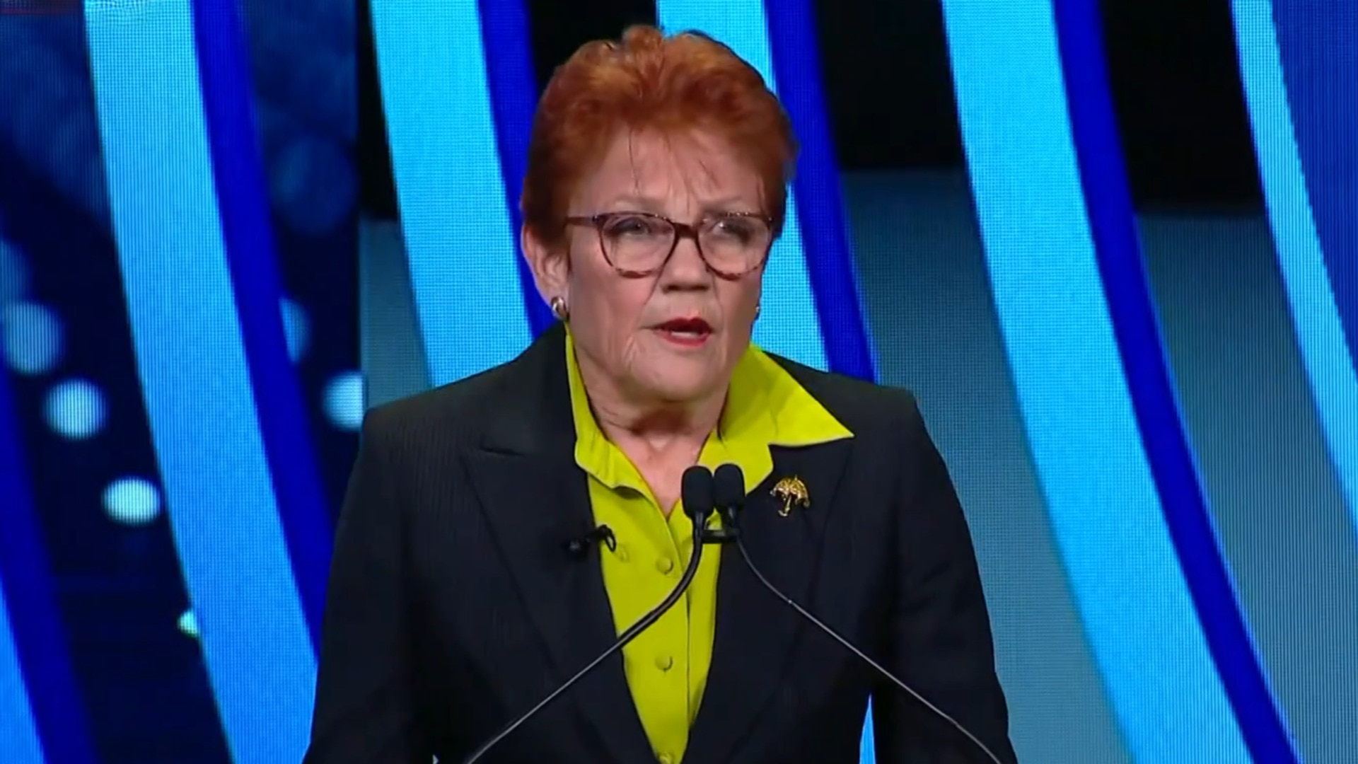 ‘I have a vision for this country’: Pauline Hanson unveils One Nation’s gas policy