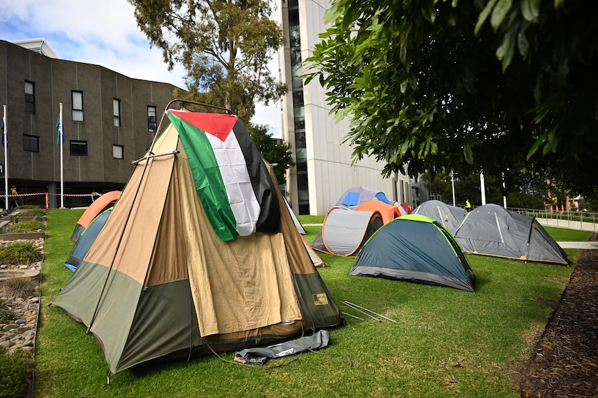 A bunch of tents in a group together on green lawn, one with a Palestine flag over the top of it.