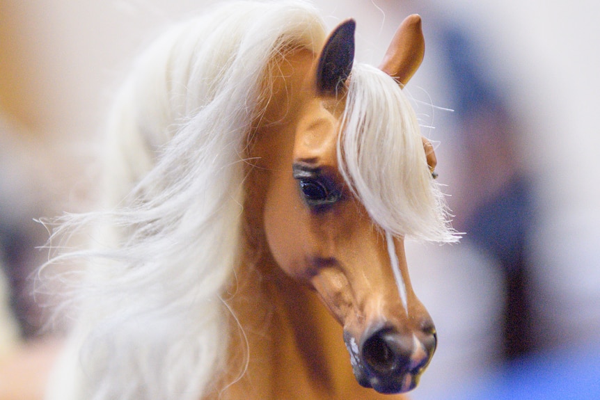 Brown horse with white mane