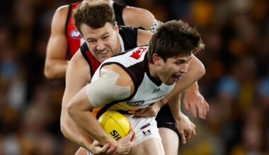 St Kilda vs Hawthorn LIVE: AFL round 12 2026, scores, results, odds, stats and start time from Marvel Stadium