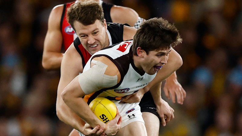 St Kilda vs Hawthorn LIVE: AFL round 12 2026, scores, results, odds, stats and start time from Marvel Stadium