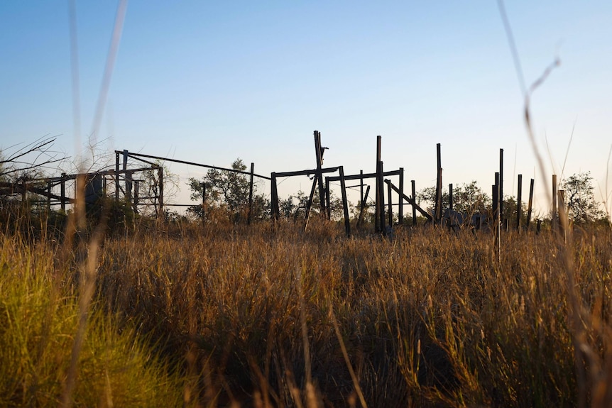 The frame of an old station homestead.