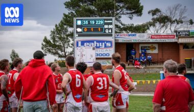 Smashed by 1,000 points in four matches, these Dogs are refusing to lie down