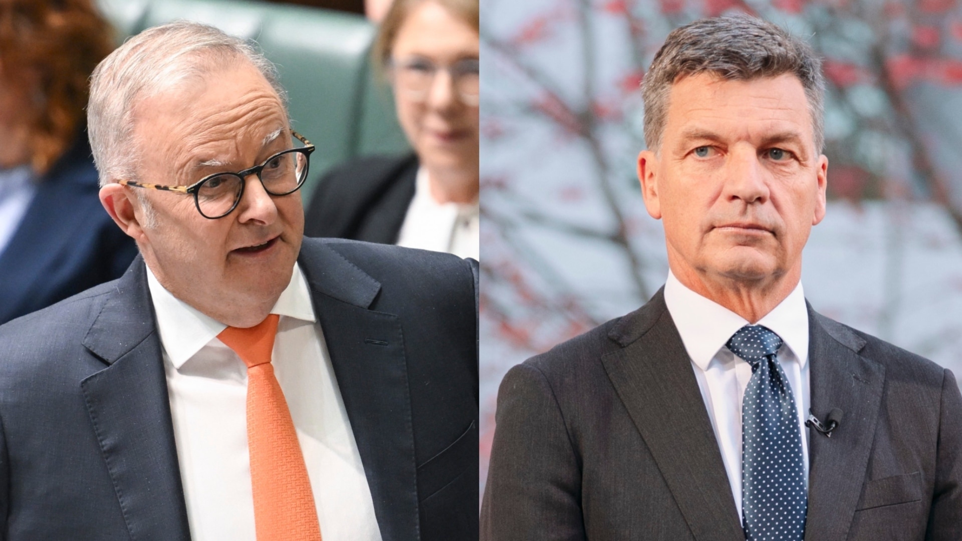 ‘He isn’t taken seriously by his own party’: PM’s extraordinary Angus Taylor spray