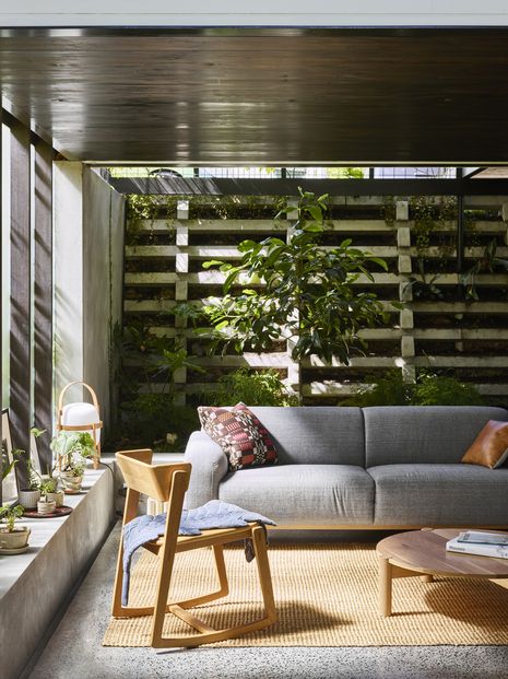 At Terrarium House, the undercroft has become the home’s new living space, surrounded by garden.