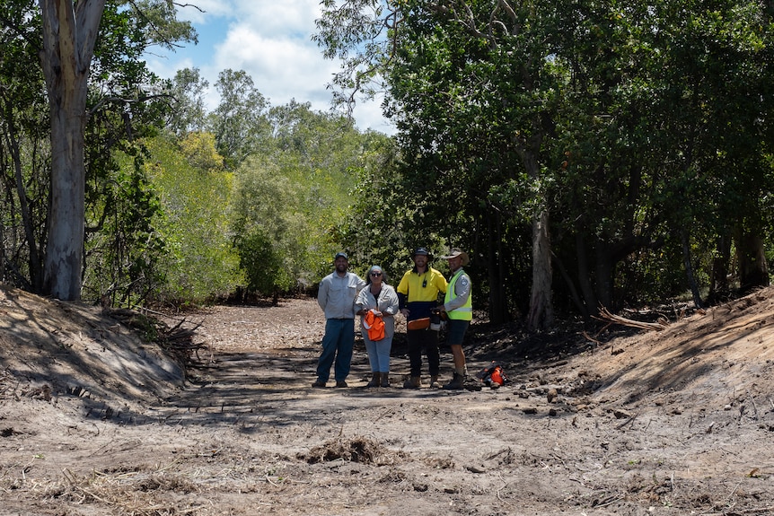 A group of people stand in the middle of a passage dug through a dirt mound, trees around, sky seen through the clearing.