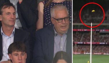 Score review controversy in Adelaide Crows vs Port Adelaide, Jake Soligo goal overturned, video