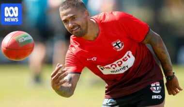 AFL needs to do more to encourage Indigenous players as marked decline continues at top level