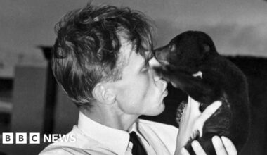 Attenborough at 100: The region where Sir David 'learned to love wildlife' - BBC