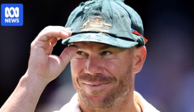 Lawyer says David Warner will 'accept responsibility for drink-driving'