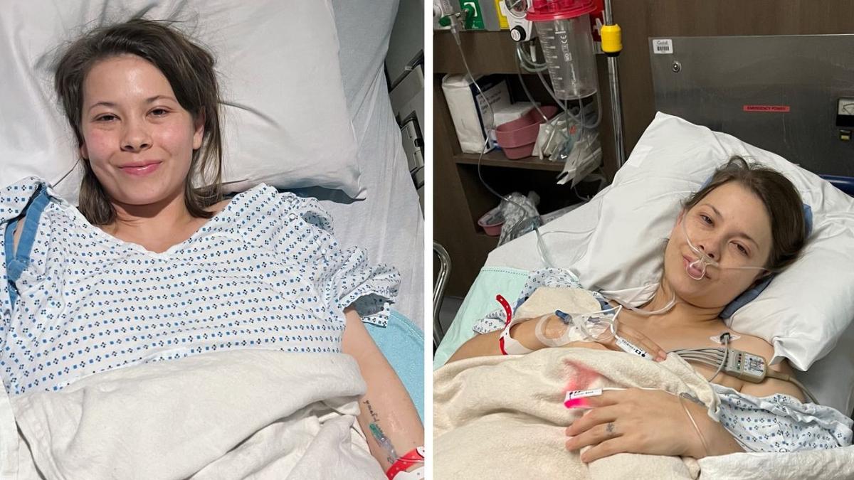 Bindi Irwin: Robert and Terri Irwin give update on wildlife conservationist amid endometriosis battle
