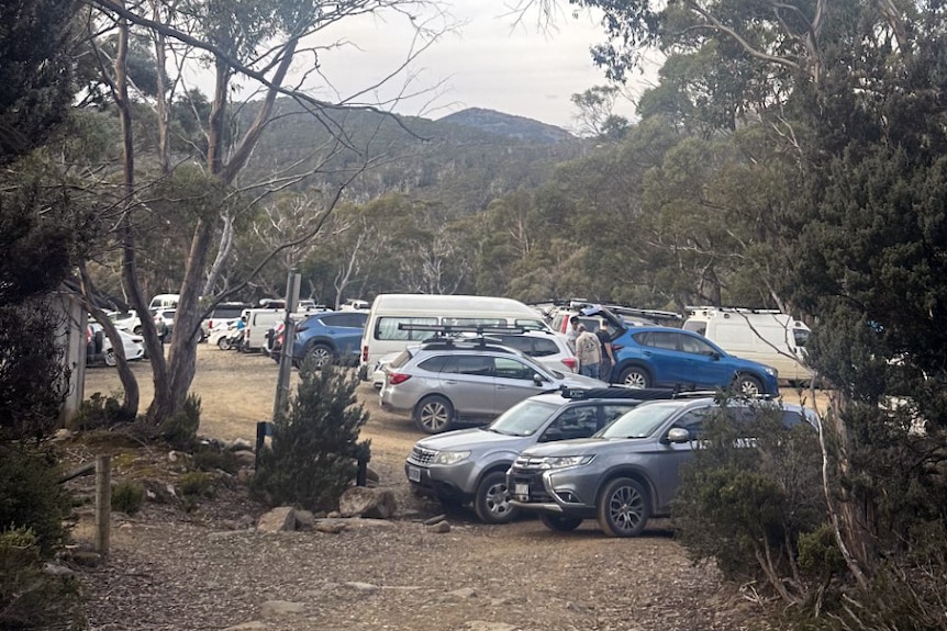 Car park at Mt Field National Park