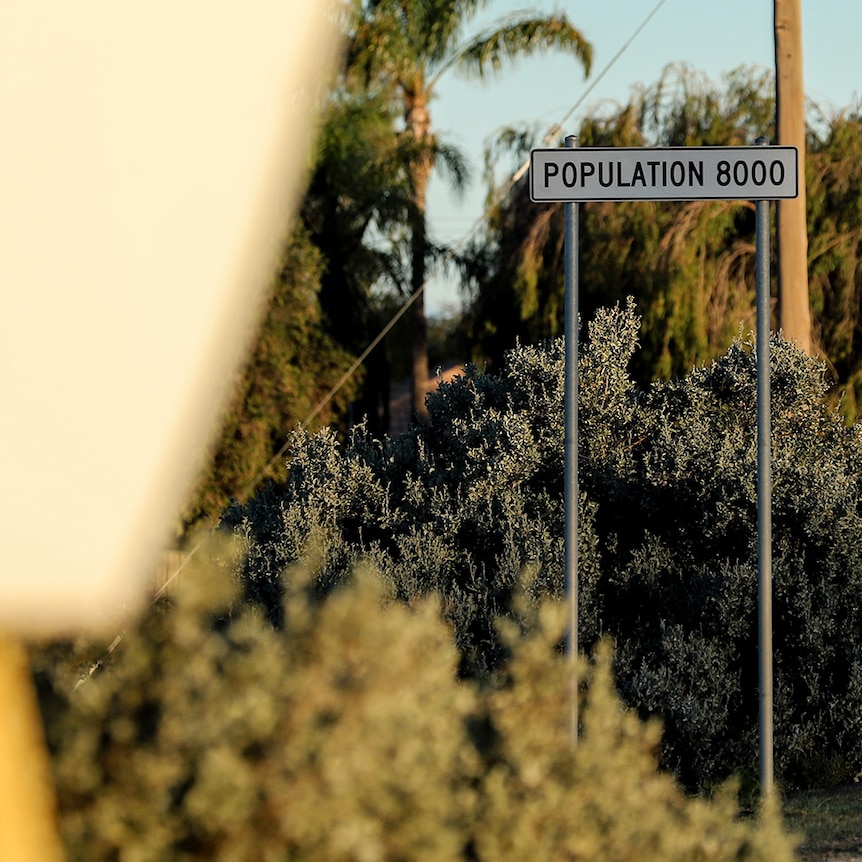 A roadside sign reads: POPULATION 8000. There is a town sign in the foreground and electricity poles and wires behind.