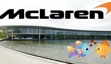 Two randy carp kiss in the pond outside the MTC in Woking
