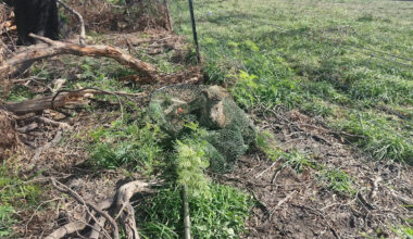 Photo exposes huge oversight as new fencing installed on Aussie property