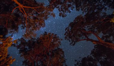 Indigenous Australians were the world’s first astronomers. But their knowledge is now at risk