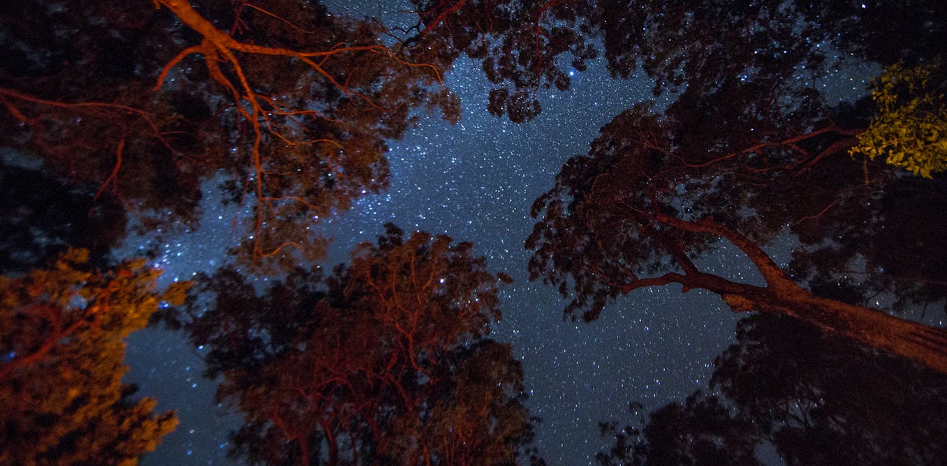 Indigenous Australians were the world’s first astronomers. But their knowledge is now at risk