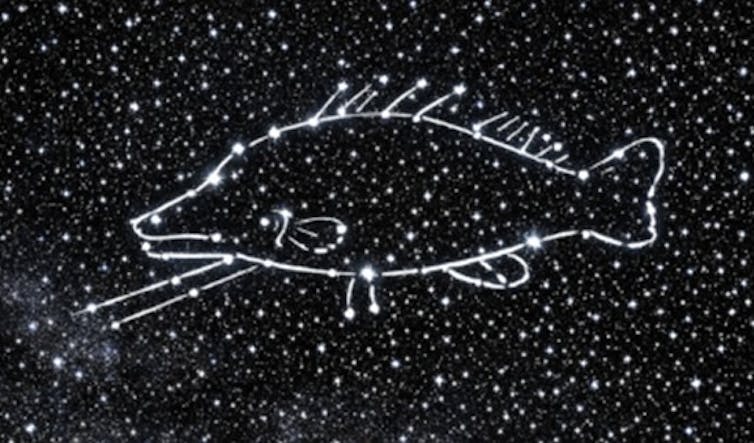 Stars with a fish traced over them