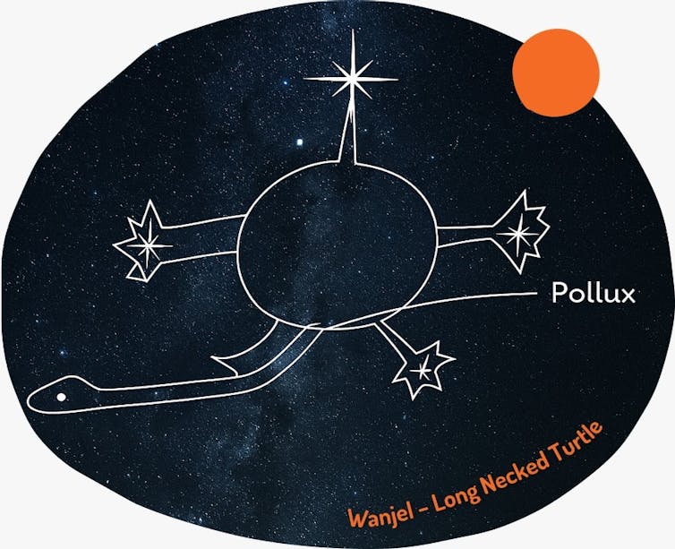 Stars with a turtle traced over them