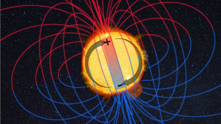A diagram showing the Sun with the top pole labeled '+' and bottom pole labeled '-'. Magnetic field lines come from each pole and curve down vertically to reach the other pole.