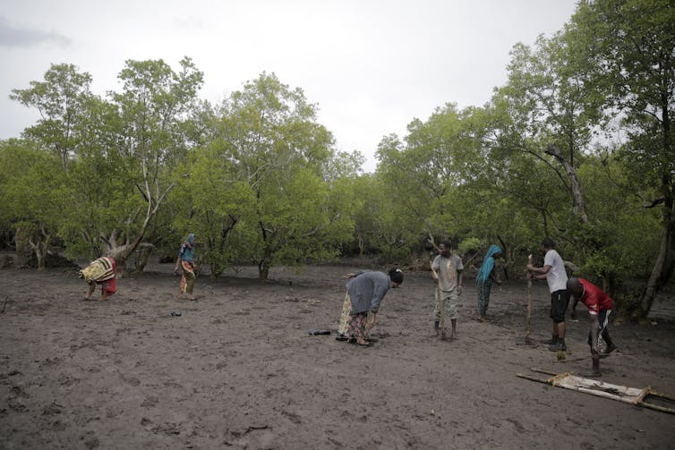 People in an open area of soil plant trees.