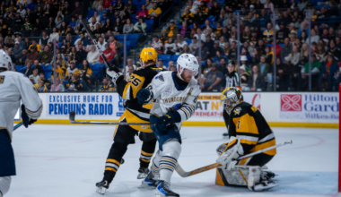 Springfield Thunderbirds | T-Birds' Magical Run Comes to End in…
