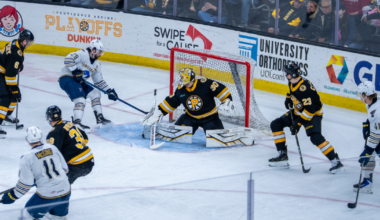 Springfield Thunderbirds | DiPietro Outduels Romanov in 2-1 Bruins…