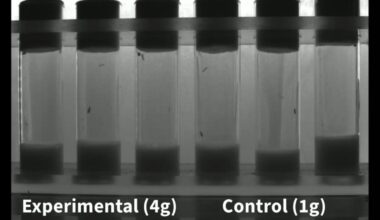 Scientists Exposed Flies to Crushing Hypergravity. The Results Were Unexpected