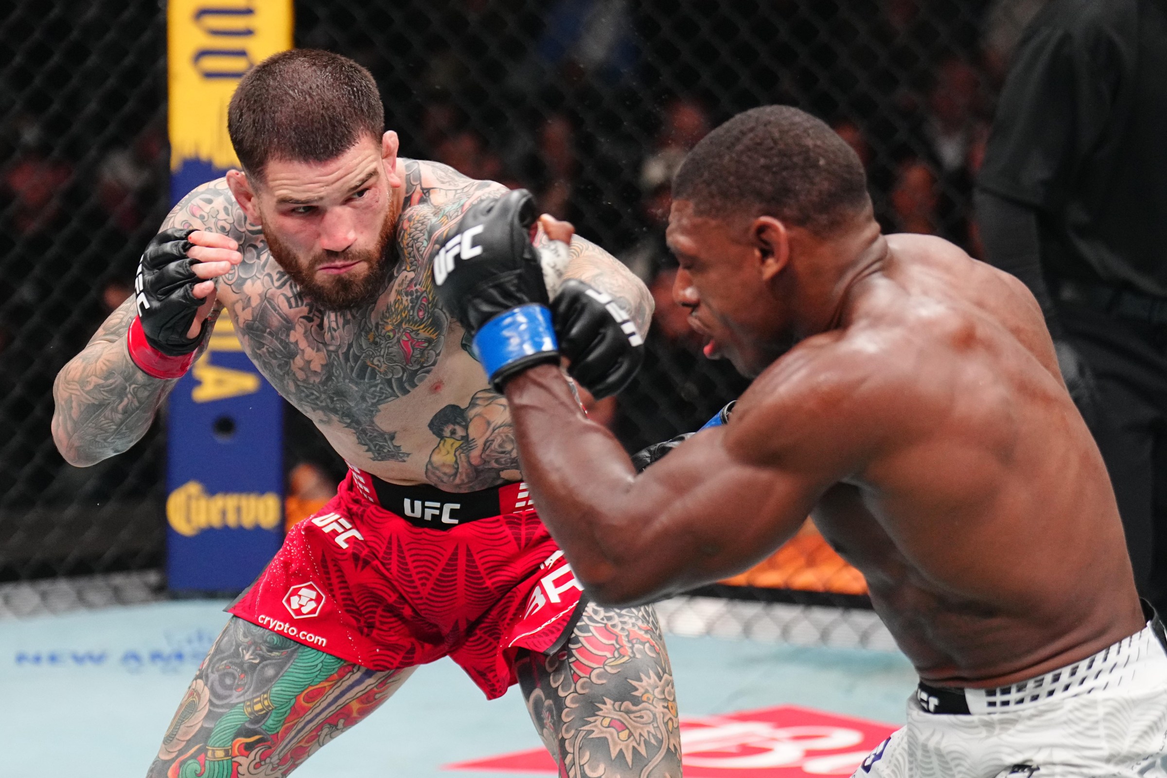 NEWARK, NEW JERSEY - MAY 09: Sean Brady punches Joaquin Buckley in a welterweight fight during the UFC 328 event at Prudential Center on May 09, 2026 in Newark, New Jersey. (Photo by Chris Unger/Zuffa LLC)