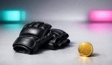 How MMA Sponsorships Are Shifting Toward Digital and Crypto Focused Brands