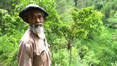 He sold his goats to buy tree seedlings and transformed barren hills into a forest: Meet Mbah Sadiman