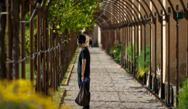 the holy see pavilion invites visitors to wander a garden of sound