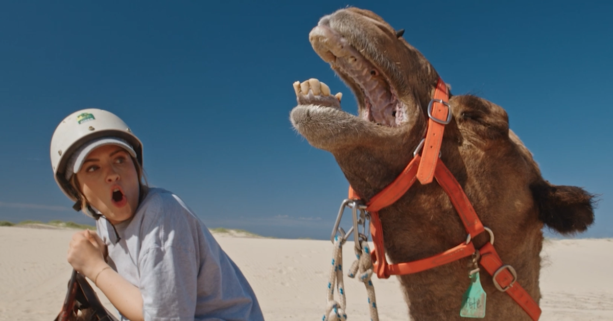 One Tank Holiday with Eliza and Liberty: TV star's unexpected encounter with camel mid-filming
