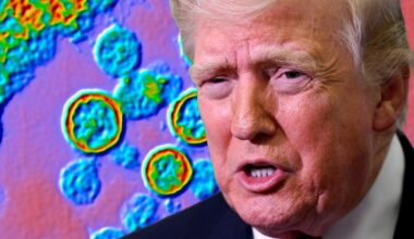 But Seriously, How Nervous Should We Be About Hantavirus?