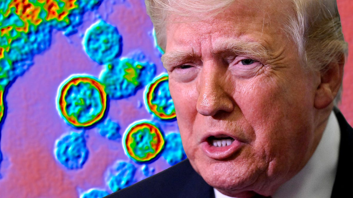 But Seriously, How Nervous Should We Be About Hantavirus?