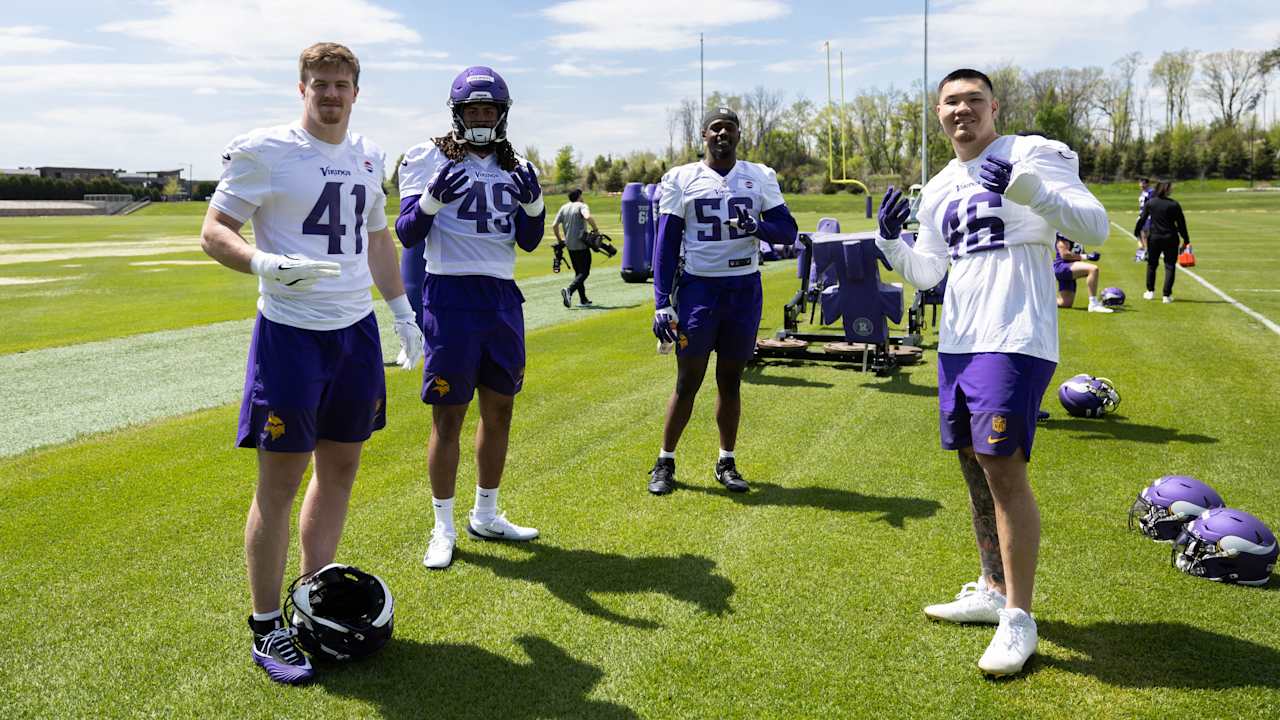 Minnesota Vikings logo