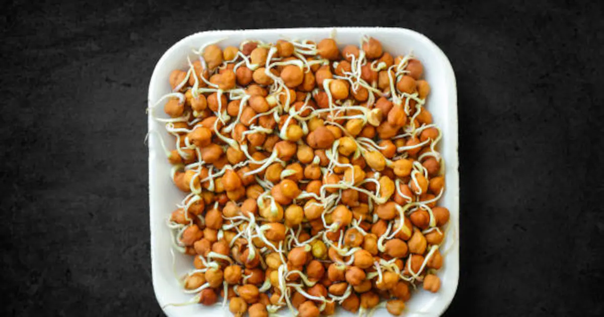 Benefits Of Eating Sprouts