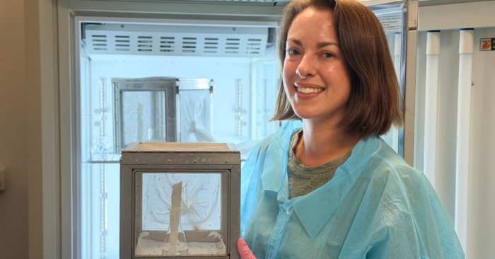 How malaria research could reveal clues to male infertility